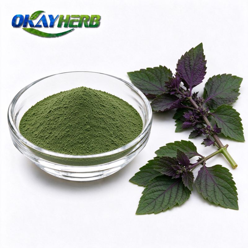 Agastache Herb Powder