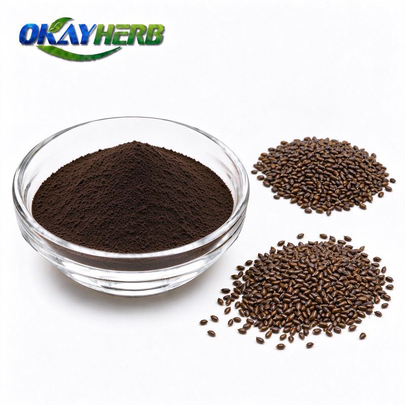 Cassia Seed Powder
