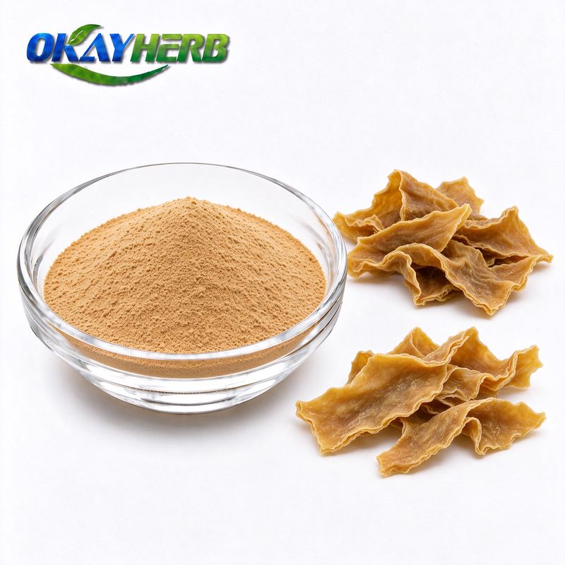 Chicken Gizzard Membrane Powder
