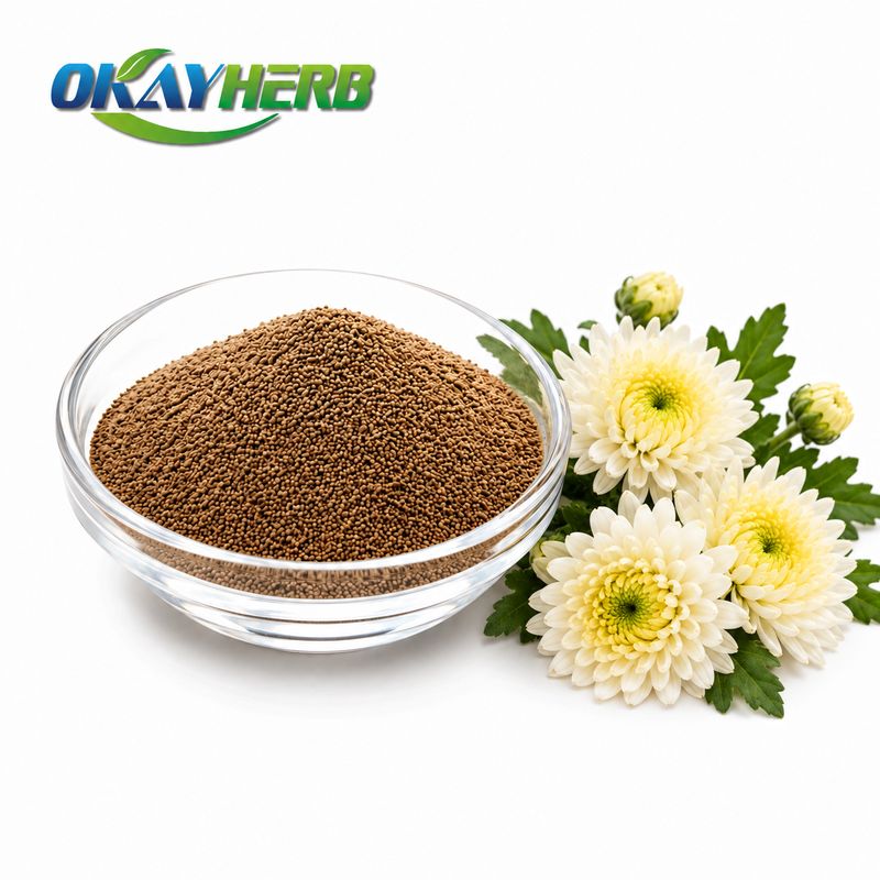 Chrysanthemum Flower Powder