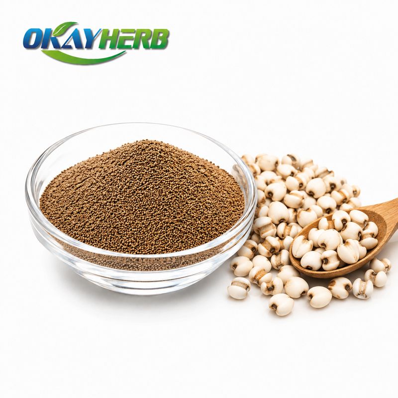 Coix Seed Powder