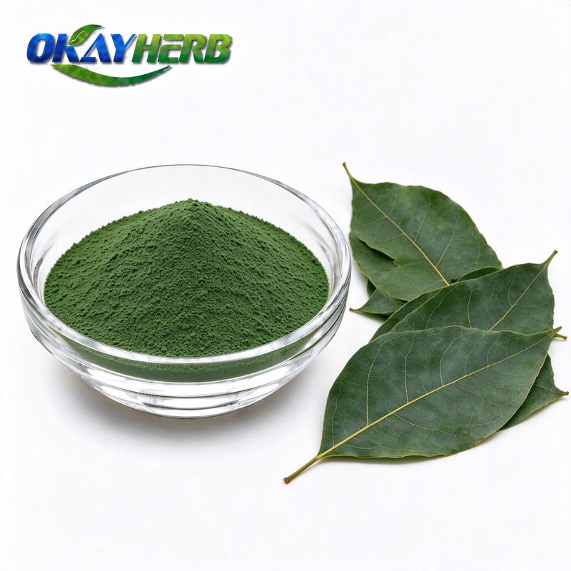 Eucommia Leaf Powder