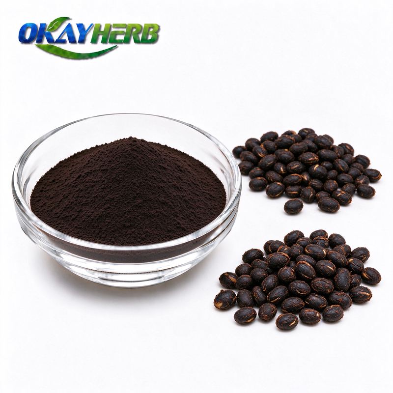 Fermented Soybean Powder