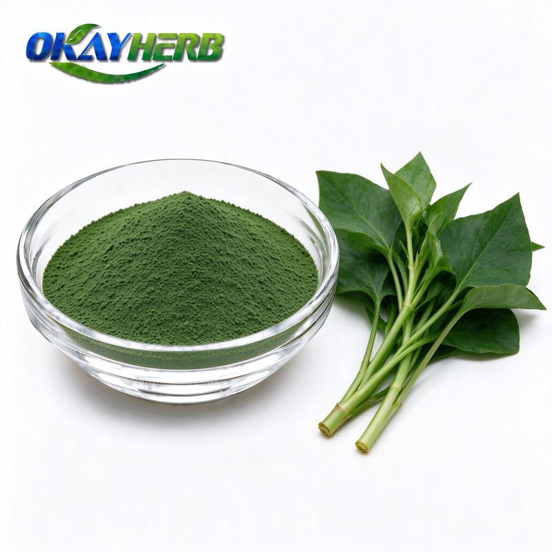 Houttuynia Powder
