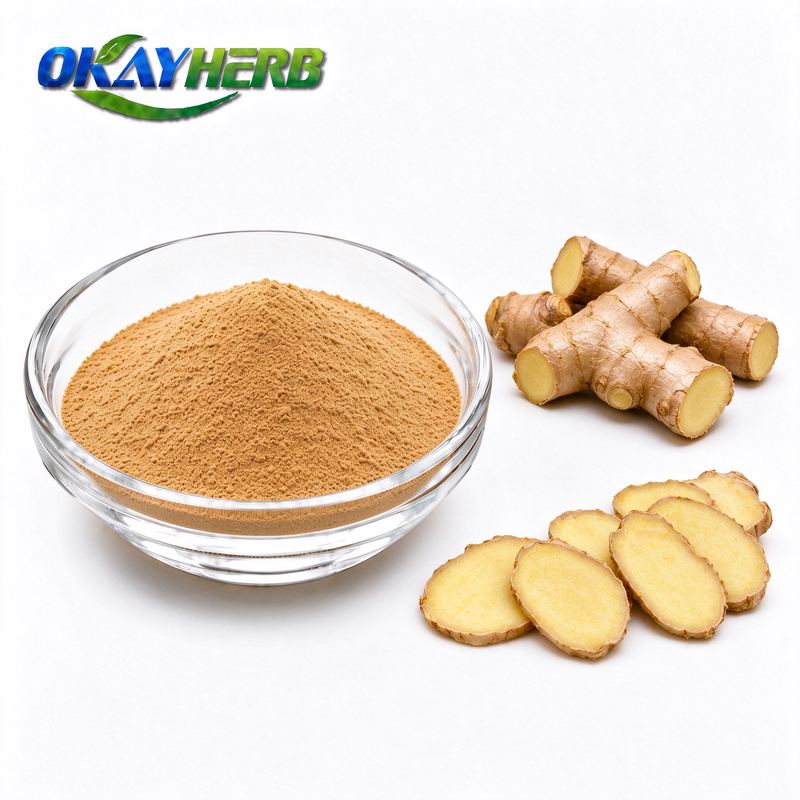 Lesser Galangal Powder