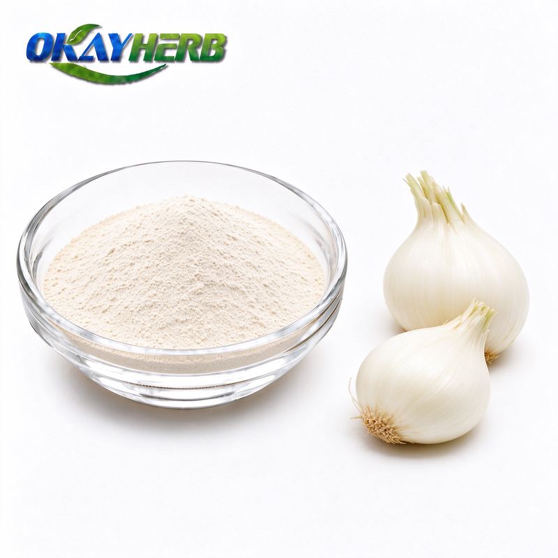 Longstamen Onion Bulb Powder