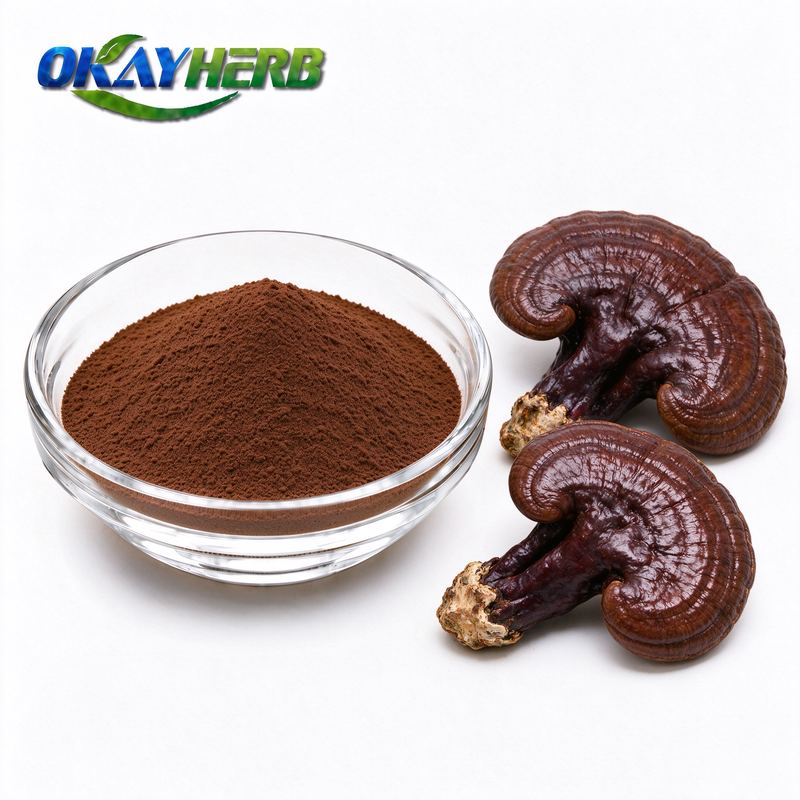 Reishi Mushroom Powder