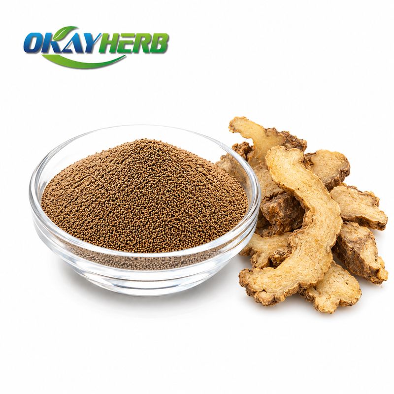 Solomon's Seal Rhizome Powder