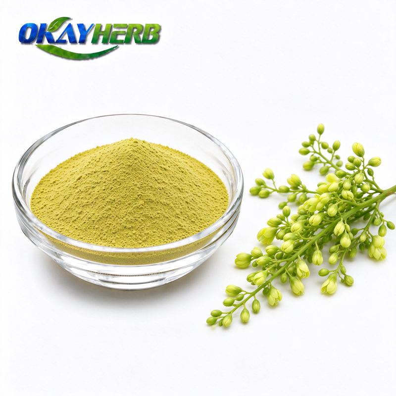 Sophora Flower Bud Powder