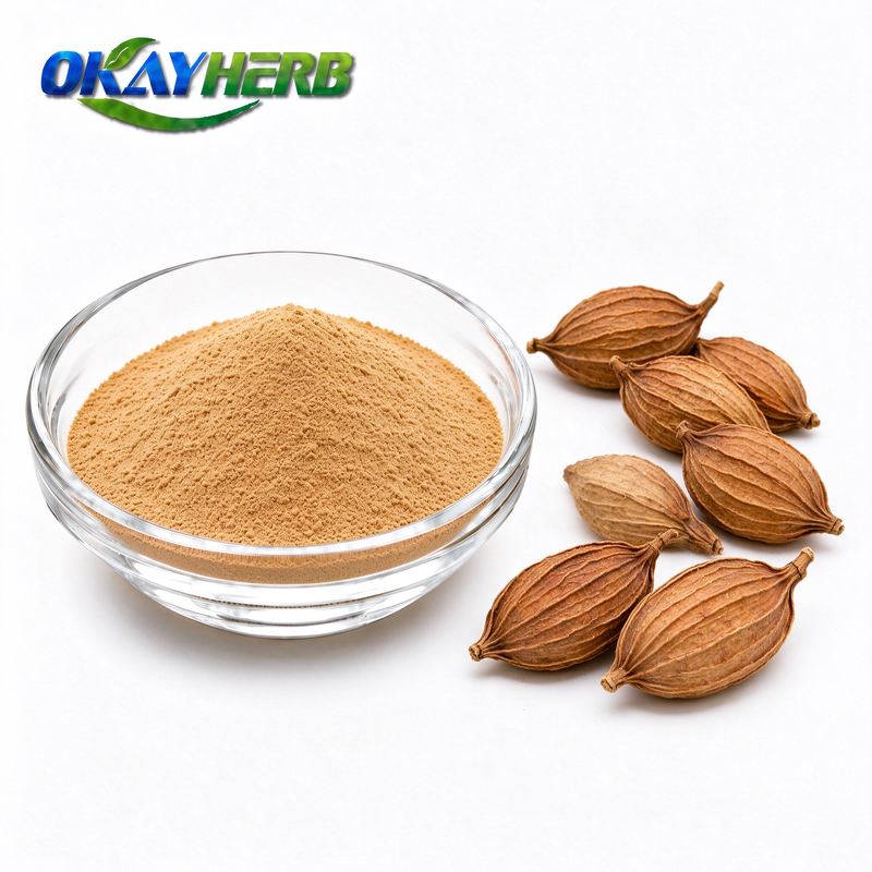 Villous Amomum Fruit Powder